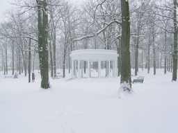 Recreation Park bandstand and oak trees - Winter